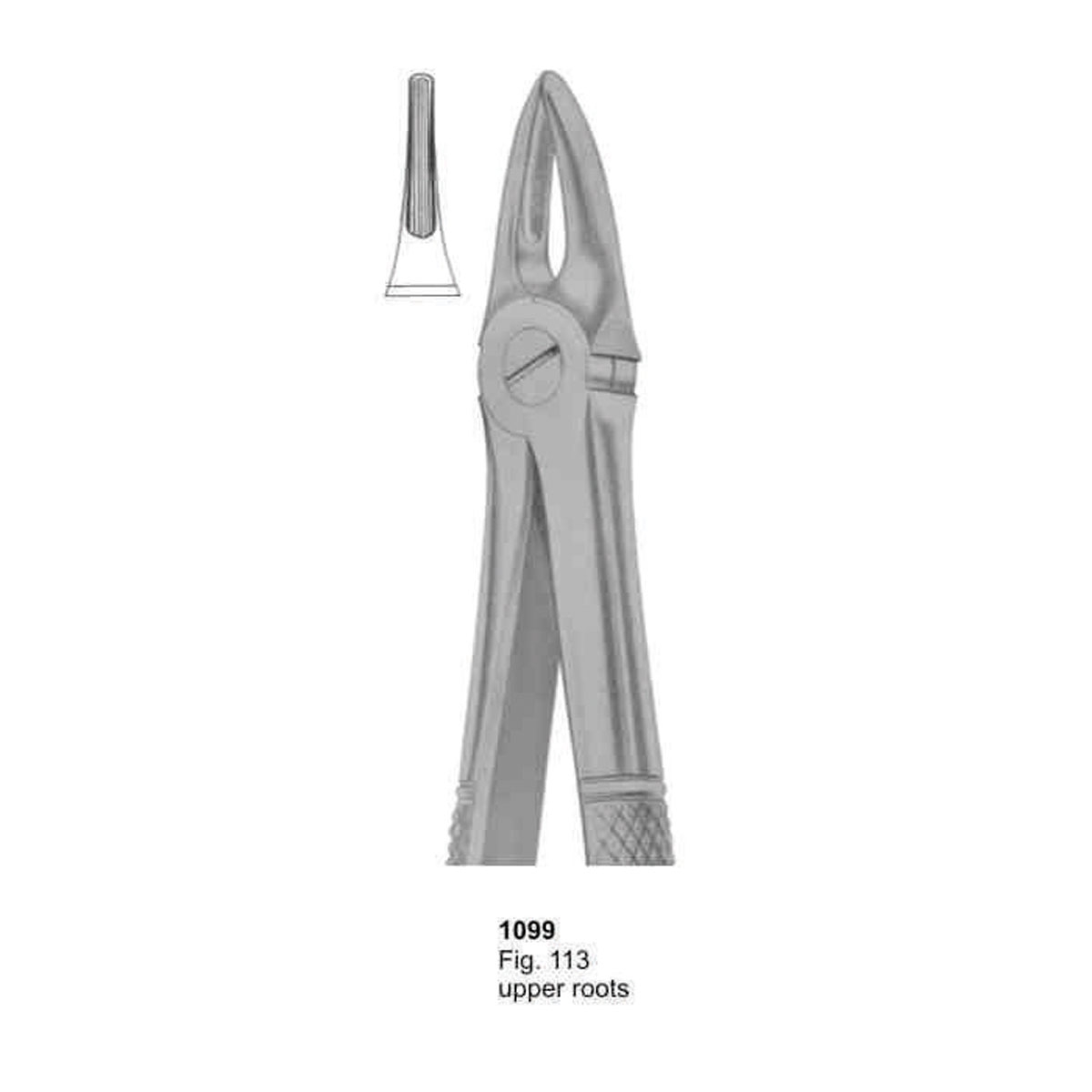 Extracting Forceps (English Pattern)