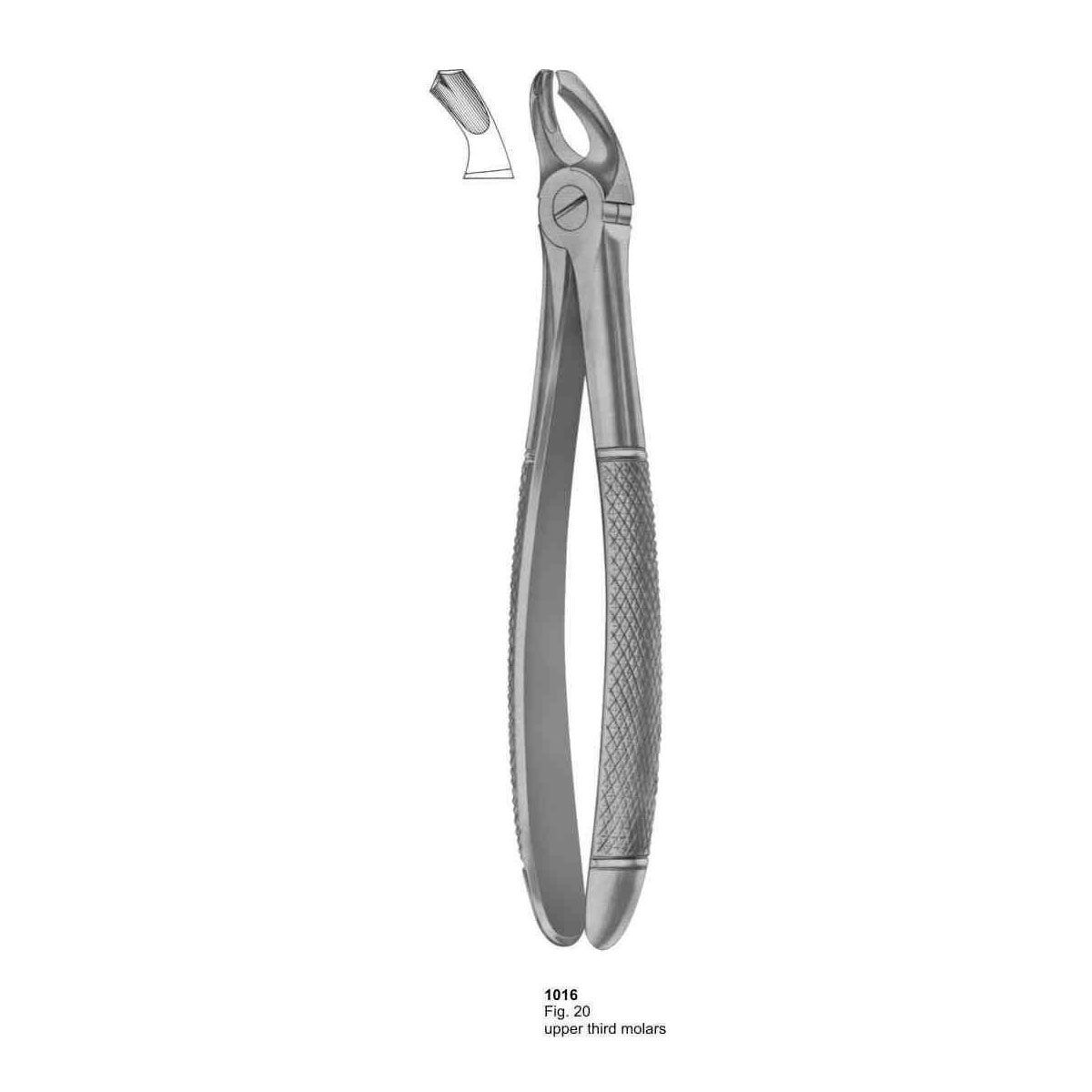 Extracting Forceps (English Pattern)