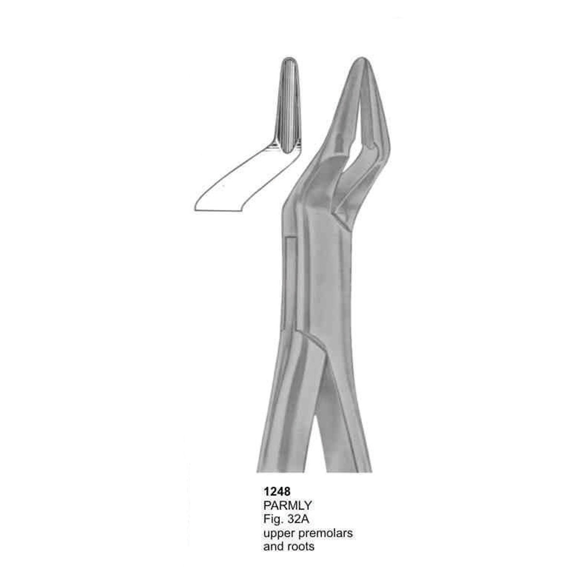 Extracting Forceps (American Pattern)  