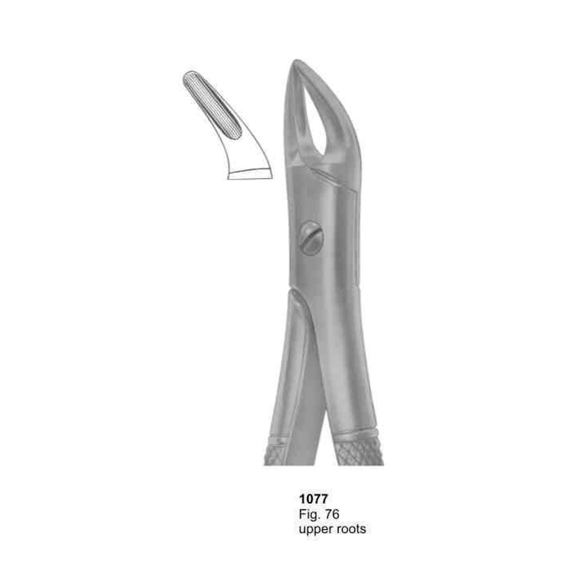 Extracting Forceps (English Pattern)