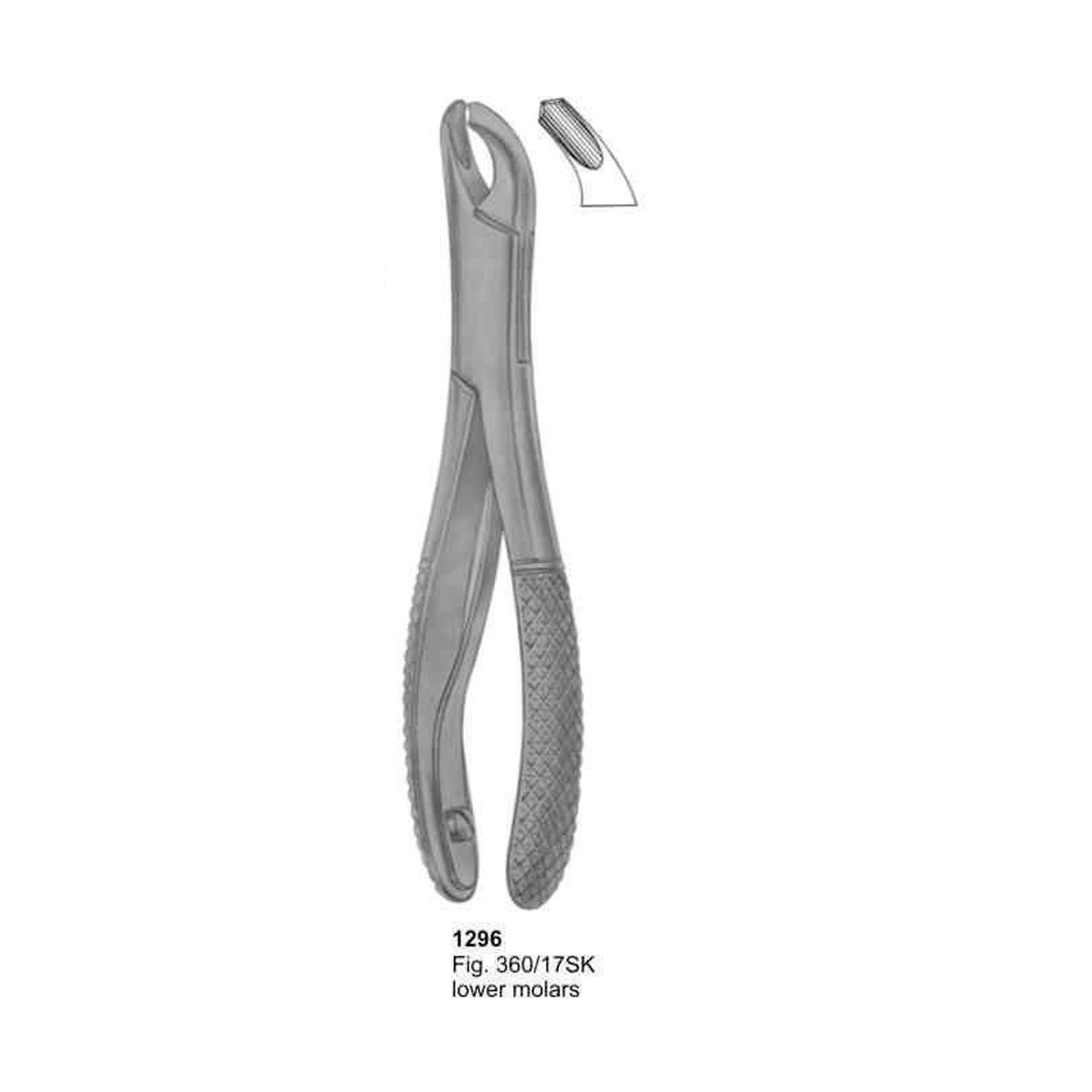 Extracting Forceps (American Pattern)