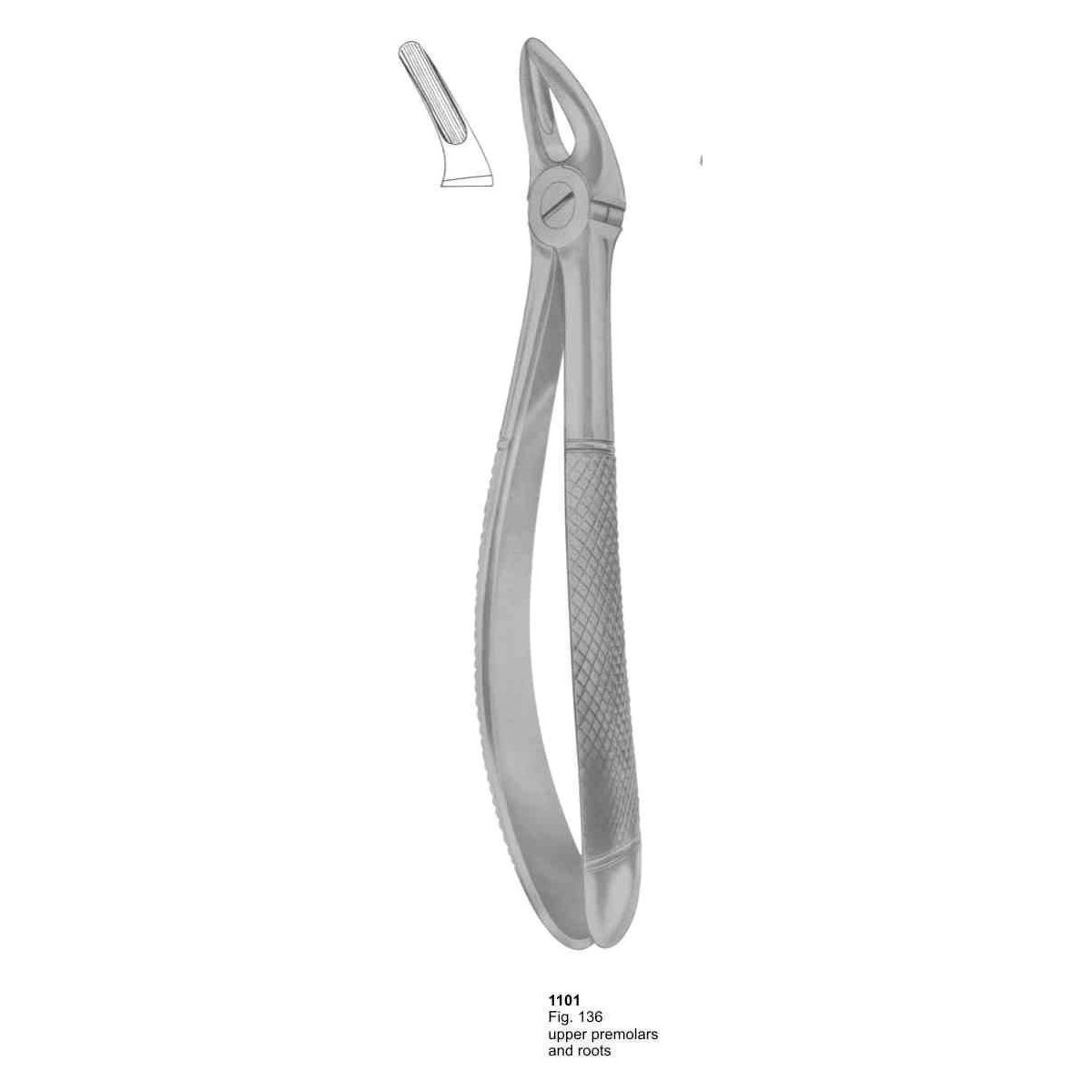 Extracting Forceps (English Pattern)