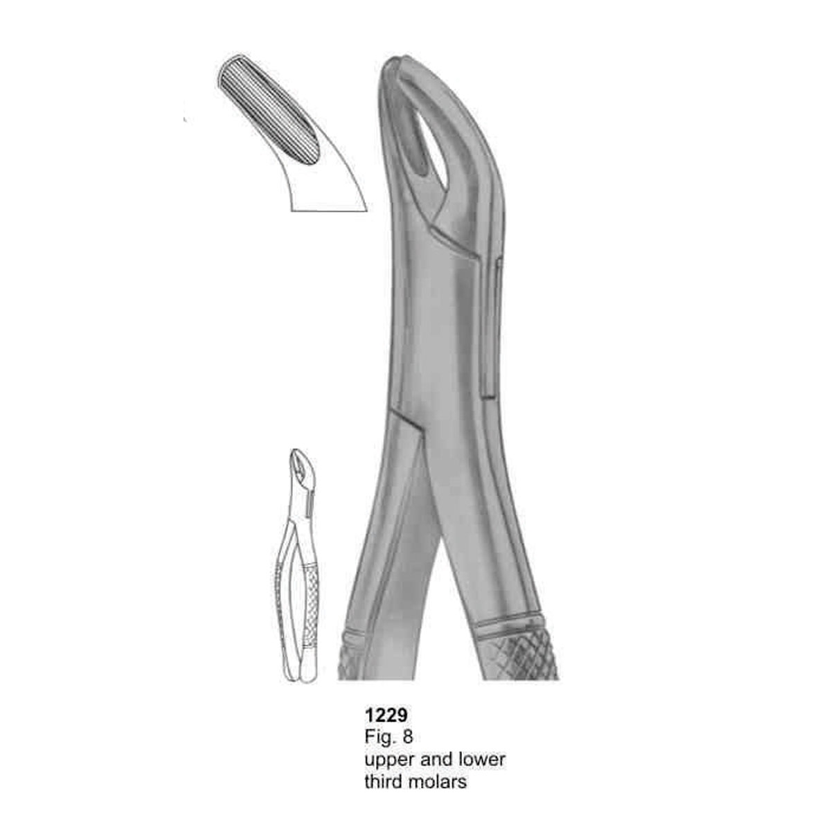 Extracting Forceps (American Pattern)