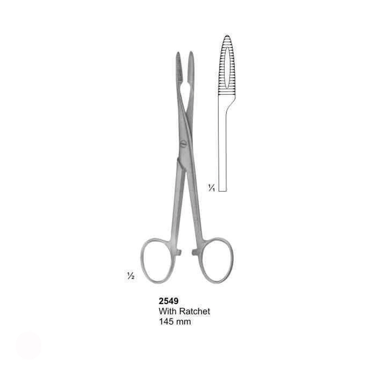 Endodontic Forceps