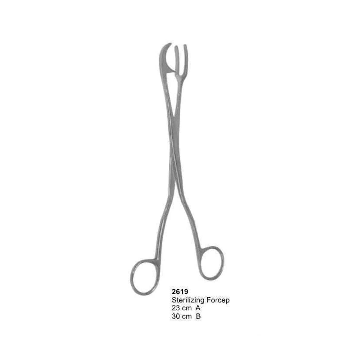 Sterilizing Forceps