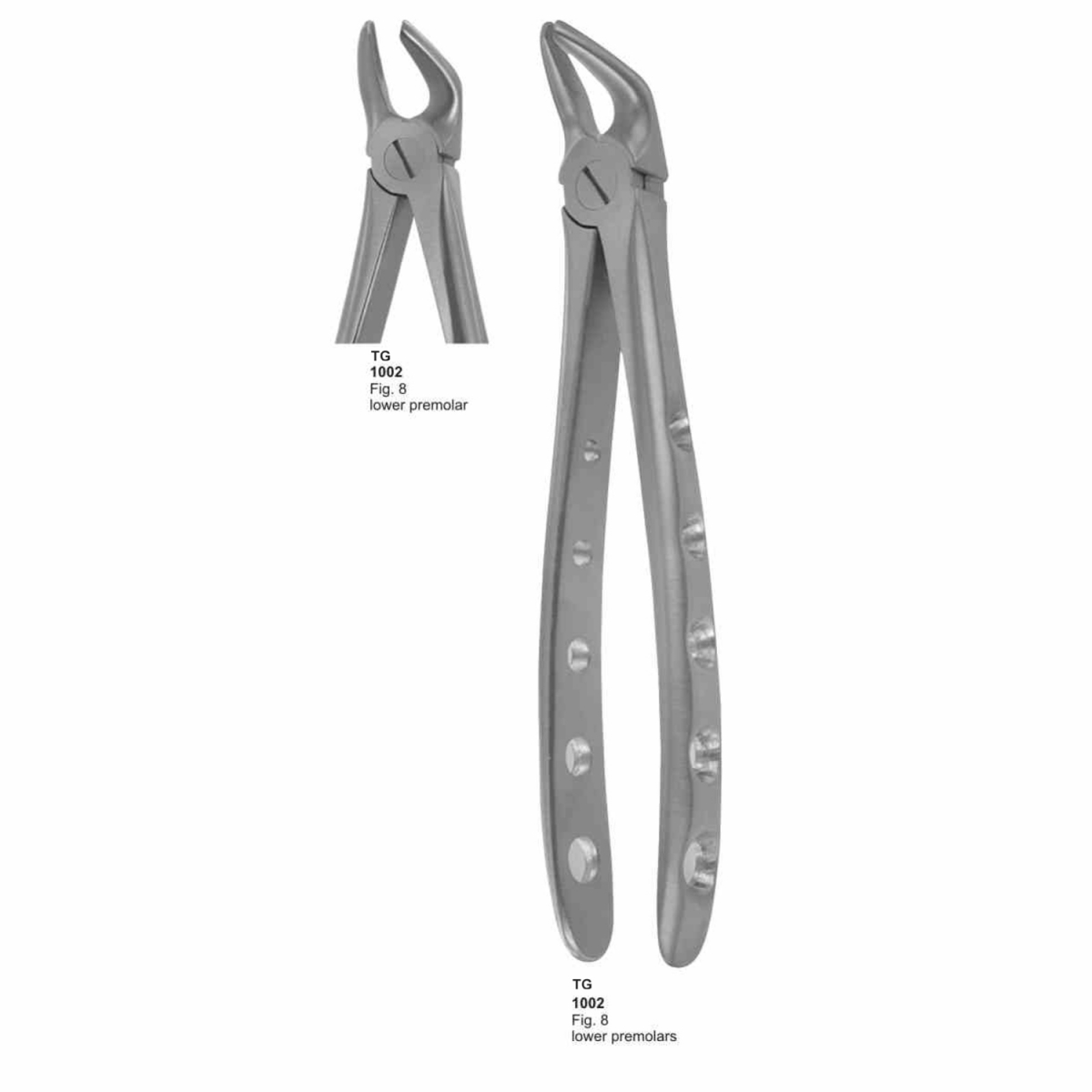 Extracting Forceps (English Pattern)